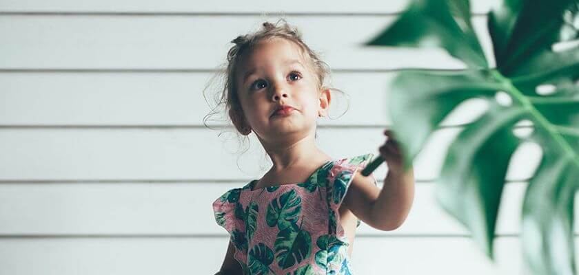 Blog Img 4 2